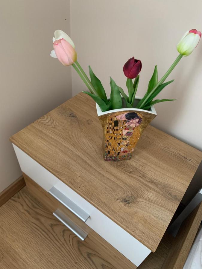 Zsuzsa Apartman Hajdúszoboszló Dış mekan fotoğraf